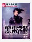 《黑枭之路》