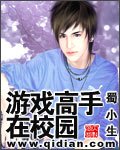 《游戏高手在校园》