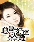 《總裁大人好難纏》