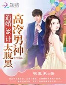 高冷男神太腹黑:追婚36計