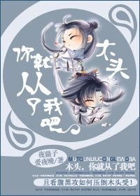 《木头,你就从了我吧/木头你好,木头再见》