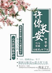 《许你长安》