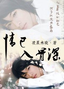 情已入骨深(原名:已道惘然,燊始惜非)