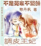 《不是冤家不聚头:调皮王妃》