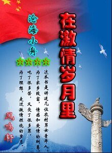 在讥情歲月裏