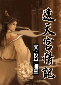 遗天宫情记