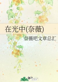 在光中(奈薇)