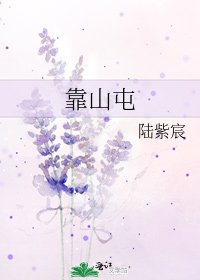 《靠山屯》