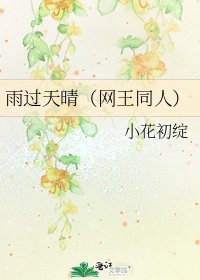 雨过天晴（网王同人）