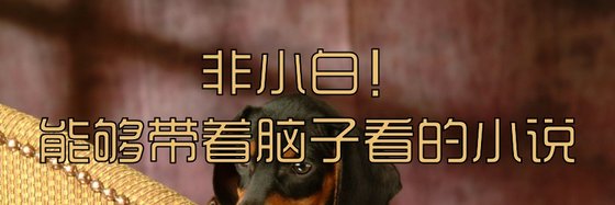 非小白！能夠帶着腦子看的小説