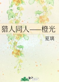 猎人同人——橙光