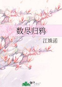 《数尽归鸦》