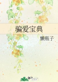 《骗爱宝典》
