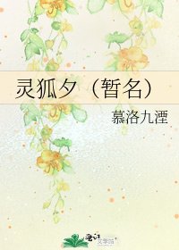 《灵狐夕(暂名)》