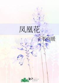 凤凰花