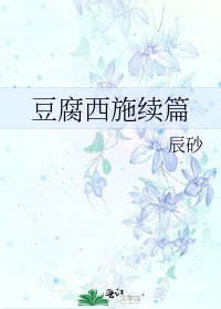 《豆腐西施续篇》