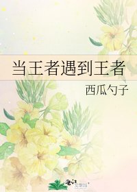 当王者遇到王者
