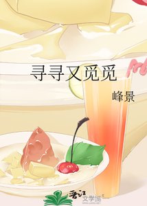 《寻寻又觅觅》