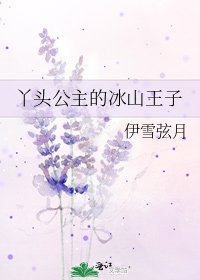 《丫头公主的冰山王子》