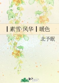┃素雪·風華┃暖硒