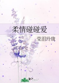 《柔情碰碰爱》