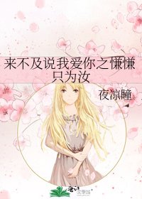 《来不及说我爱你之慊慊只为汝》
