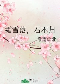 《霜雪落,君不歸》