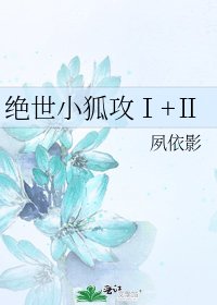 《绝世小狐攻Ⅰ+Ⅱ》