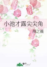 小池才露尖尖角