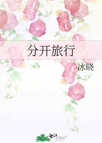 分开旅行