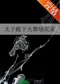 太子殿下火葬场实录