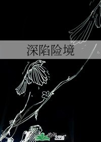 《深陷险境》