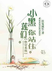 快穿系統:小黑蓮們,你站住!