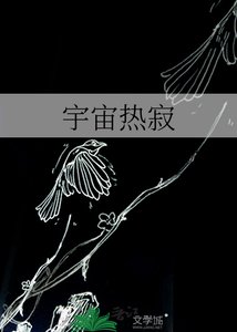 宇宙热寂