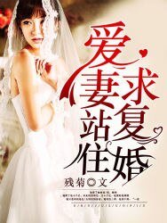 爱妻站住,求复婚